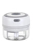 Mini Electric Garlic Chopper – USB Rechargeable Ginger Masher & Vegetable Crusher | Bentalia Home