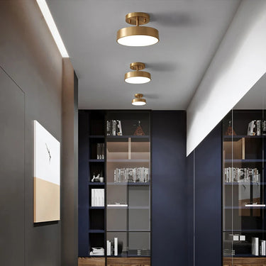 Modern LED Ceiling Light Copper Lamp  Light Nordic Round Decor Fixture