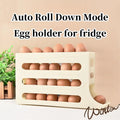 4-Tier Refrigerator Egg Storage Box, Automatic Rolling Egg Dispenser for Kitchen | Bentalia Home