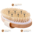 Exfoliating Wooden Body Massage Shower Brush - Natural Bristle Bath Brush for Soft Skin Care, Wet & Dry Use - SPA Essential for Men & Women | Bentalia Home